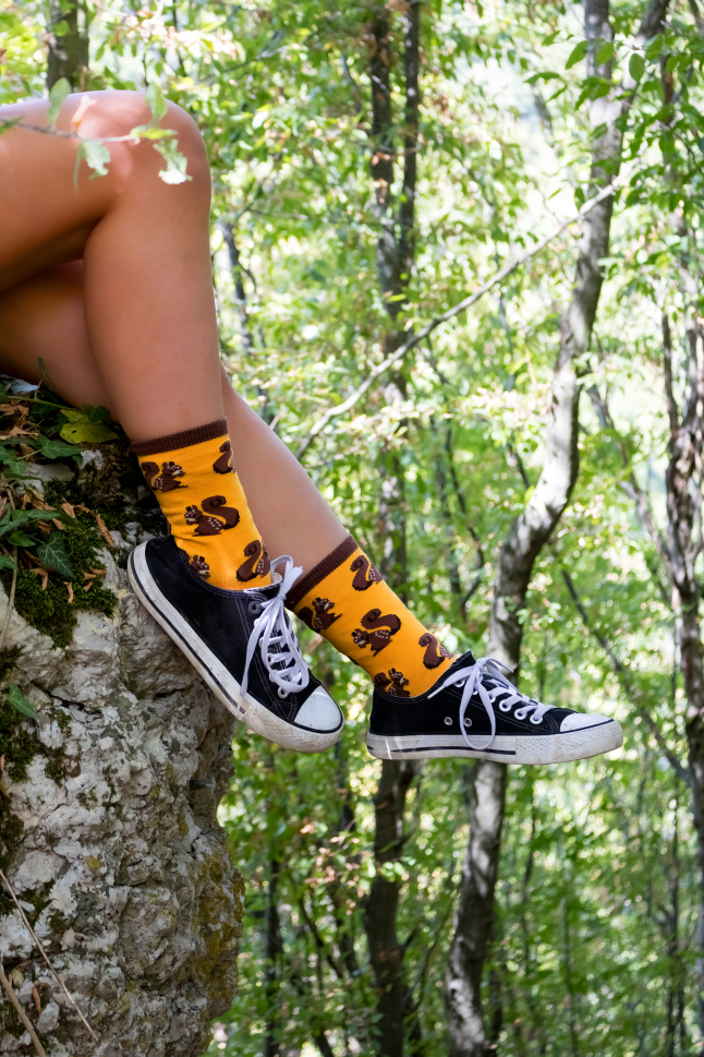 Kokvilnas zeķes ar vāveres attēlu - Image 3