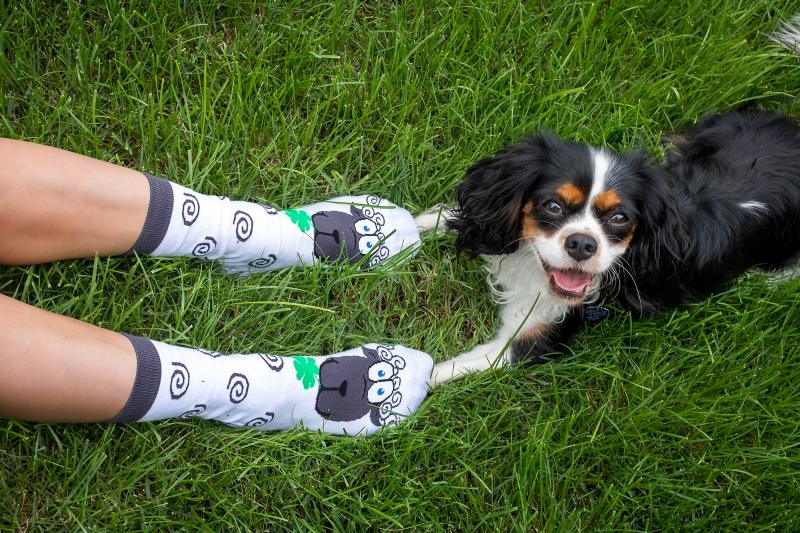 Mākslinieciskās zeķes ar aitām - Image 4